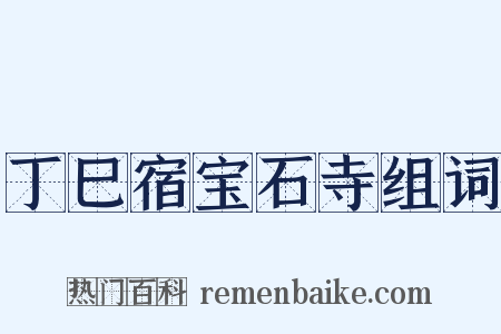 丁巳宿宝石寺组词是什么意思的图片